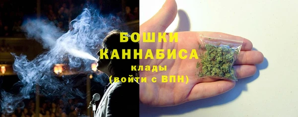 дурь Инта