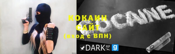 дурь Инта