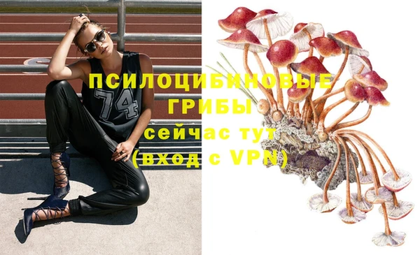 a pvp Иннополис