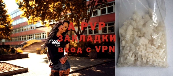 дурь Инта