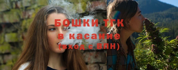 дурь Инта