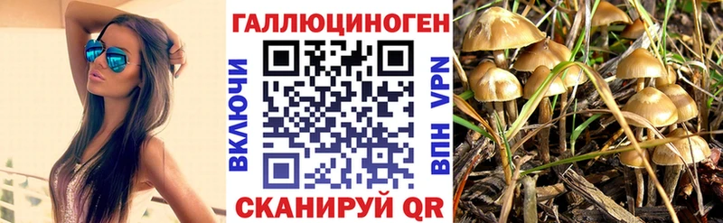 Купить  Заинск  Псилоцибиновые грибы прущие грибы 
